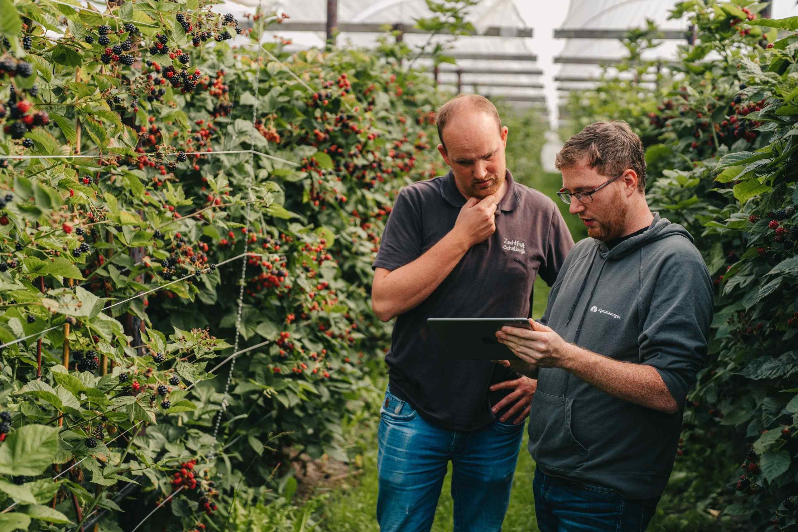 Ontwikkeld door en voor fruittelers